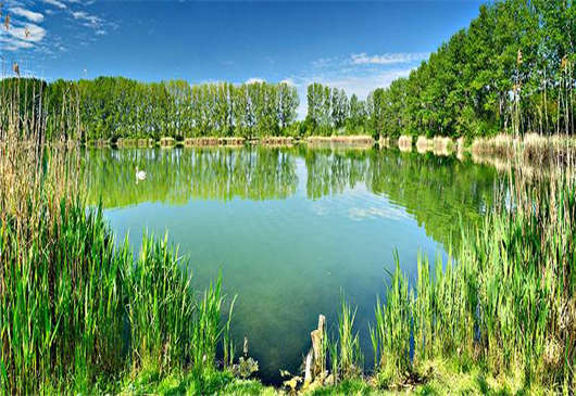 經濟是基于什么發展過來的 經濟是基于什么發展過來的