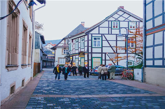 三種移民德國方式概述-藍(lán)卡、法人簽、員工簽